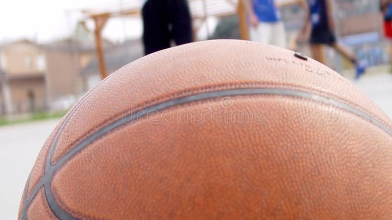商场绿植租赁，如何制定一份合理的报价单？**