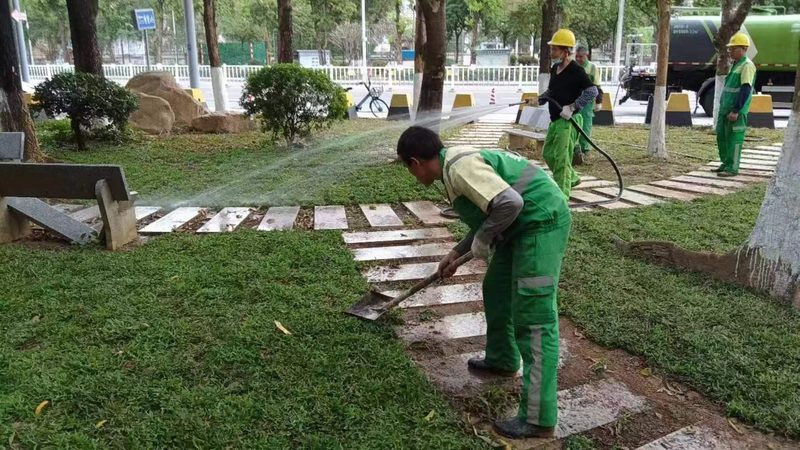 立体绿化墙施工价格每平米：揭秘成本构成与影响因素