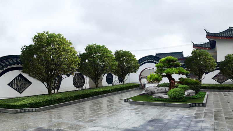 珍贵苗木品种：未来园林绿化的璀璨明珠**