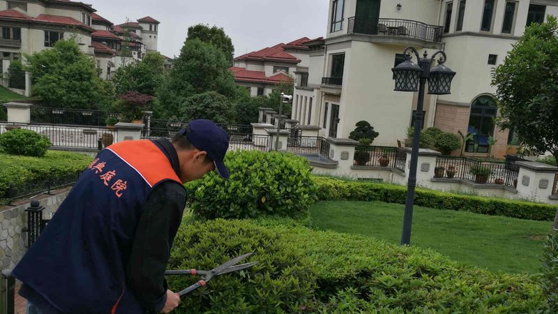 上海家庭屋顶绿化，轻松打造空中花园
