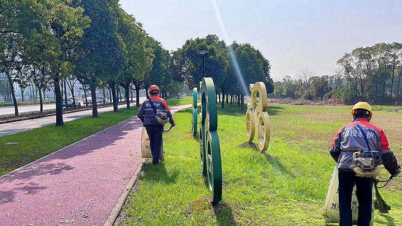 绿植租摆：打造室内外绿色空间的理想选择