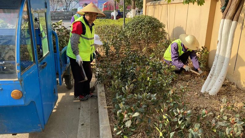 上海办公室绿植租赁：打造绿色办公空间的艺术**