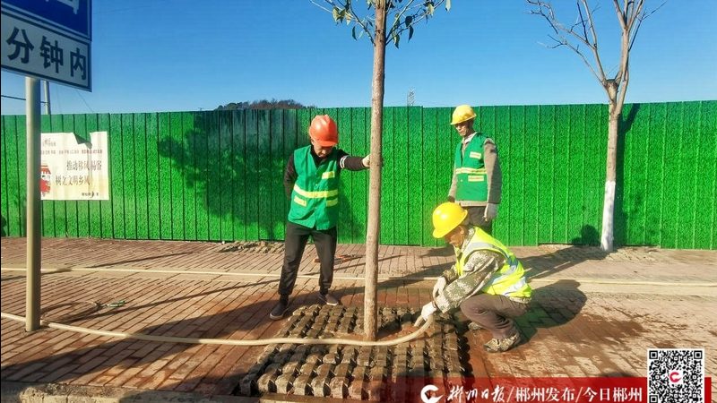 道路绿化施工流程步骤详解