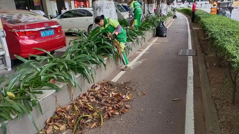 仿真草坪批发市场，你踩过哪几个坑