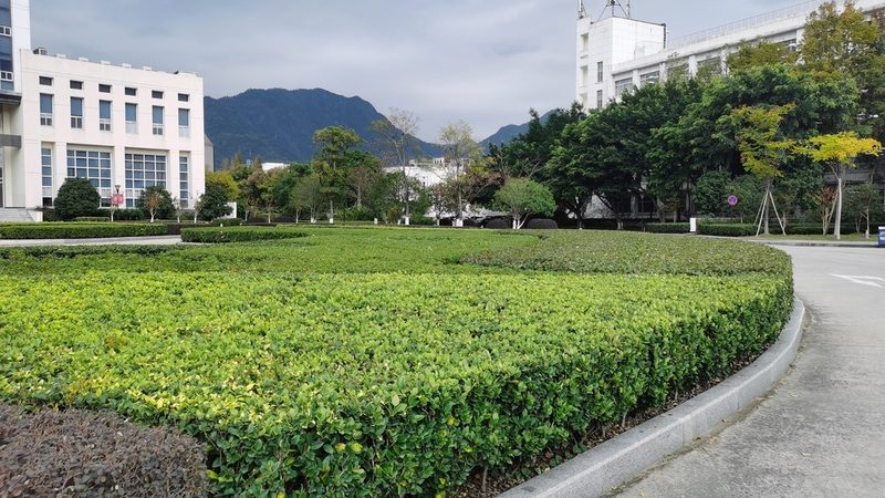 园林绿化工程合同书样本：关键条款解析与注意事项**