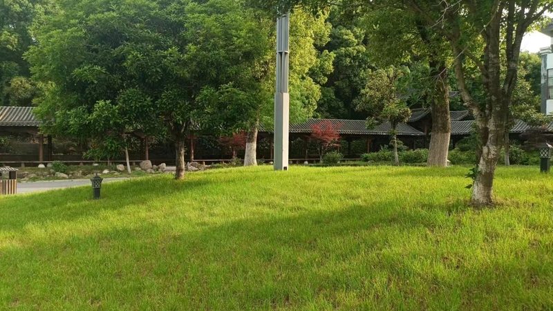 微型庭院设计：如何打造一方自然天地